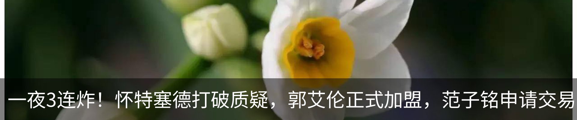 最新动态